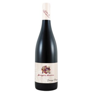 Piron Beaujolais Nouveau
