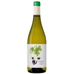 Coca i Fito Jaspi Blanc