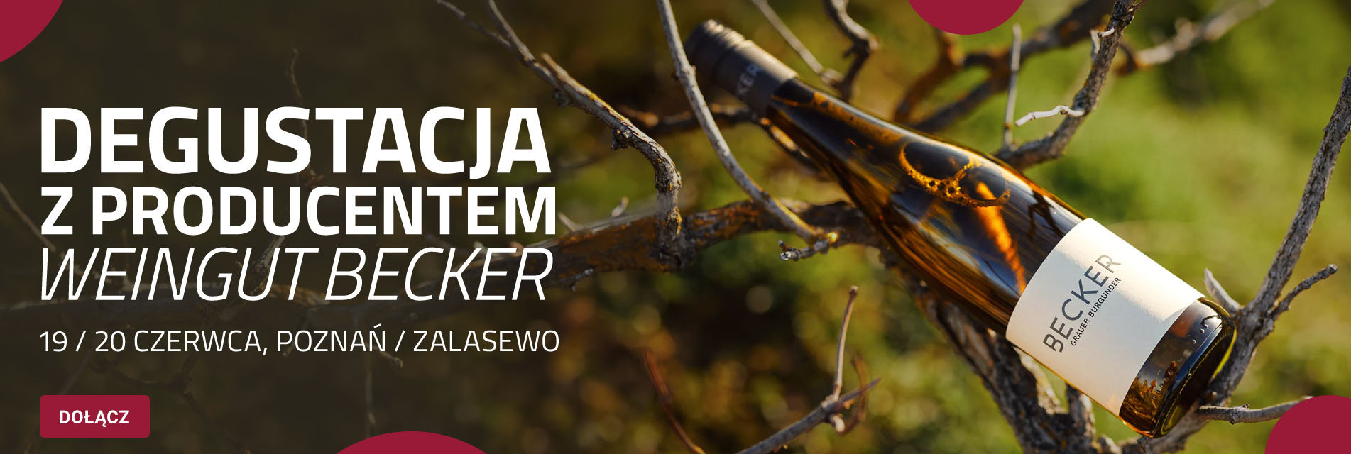 Degustacja Becker