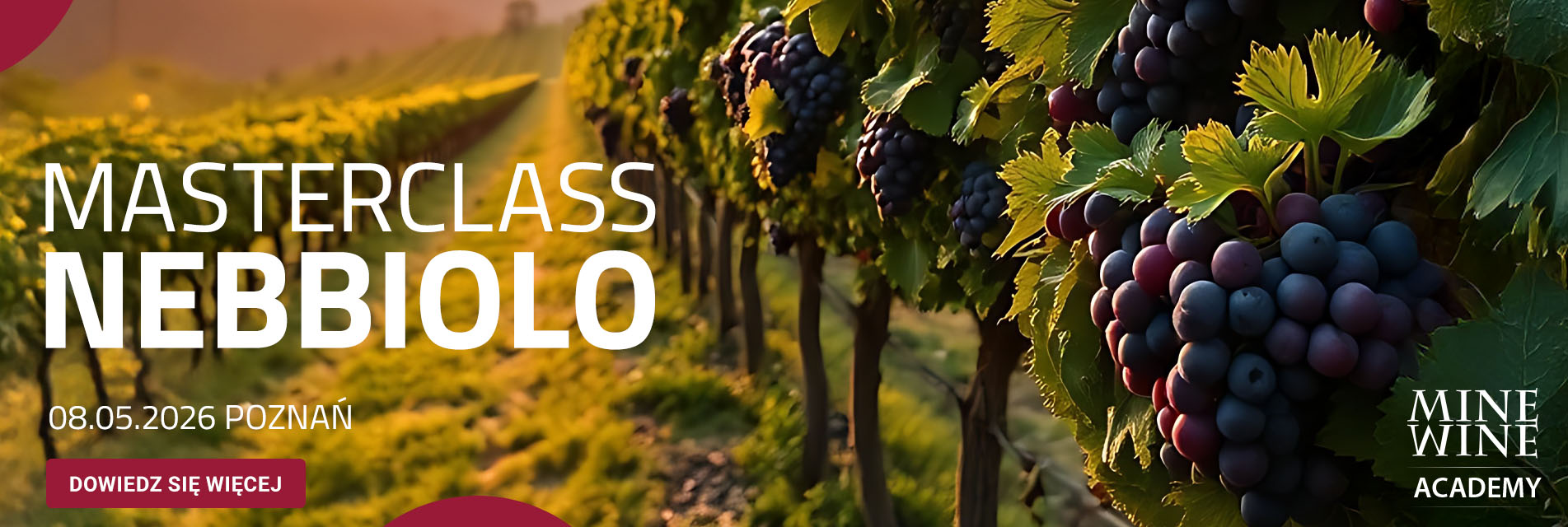 Masterclass Niebbiolo