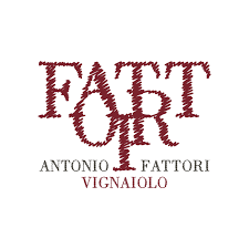 SOCIETA' AGRICOLA FATTORI DI FATTORI GIOVANNI S.S. !!SOC.AGR.FATTORI